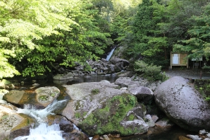 白谷雲水峡のご案内 コテージ屋久杉の家の写真(鹿児島県屋久島町)