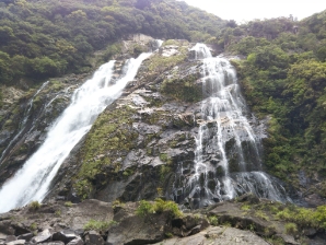 屋久島大川の滝への観光、宿泊は屋久杉の家をご利用くださいの写真(鹿児島県屋久島町)